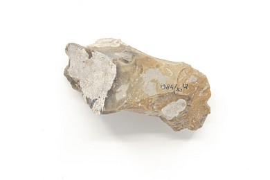 Seven flints