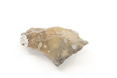 Seven flints, 