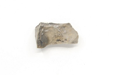 Seven flints, 