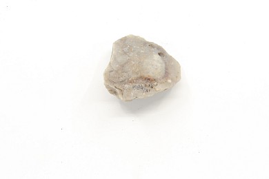 Seven flints, 