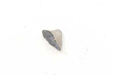 Seven flints, 