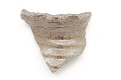 Stoneware fragments, 