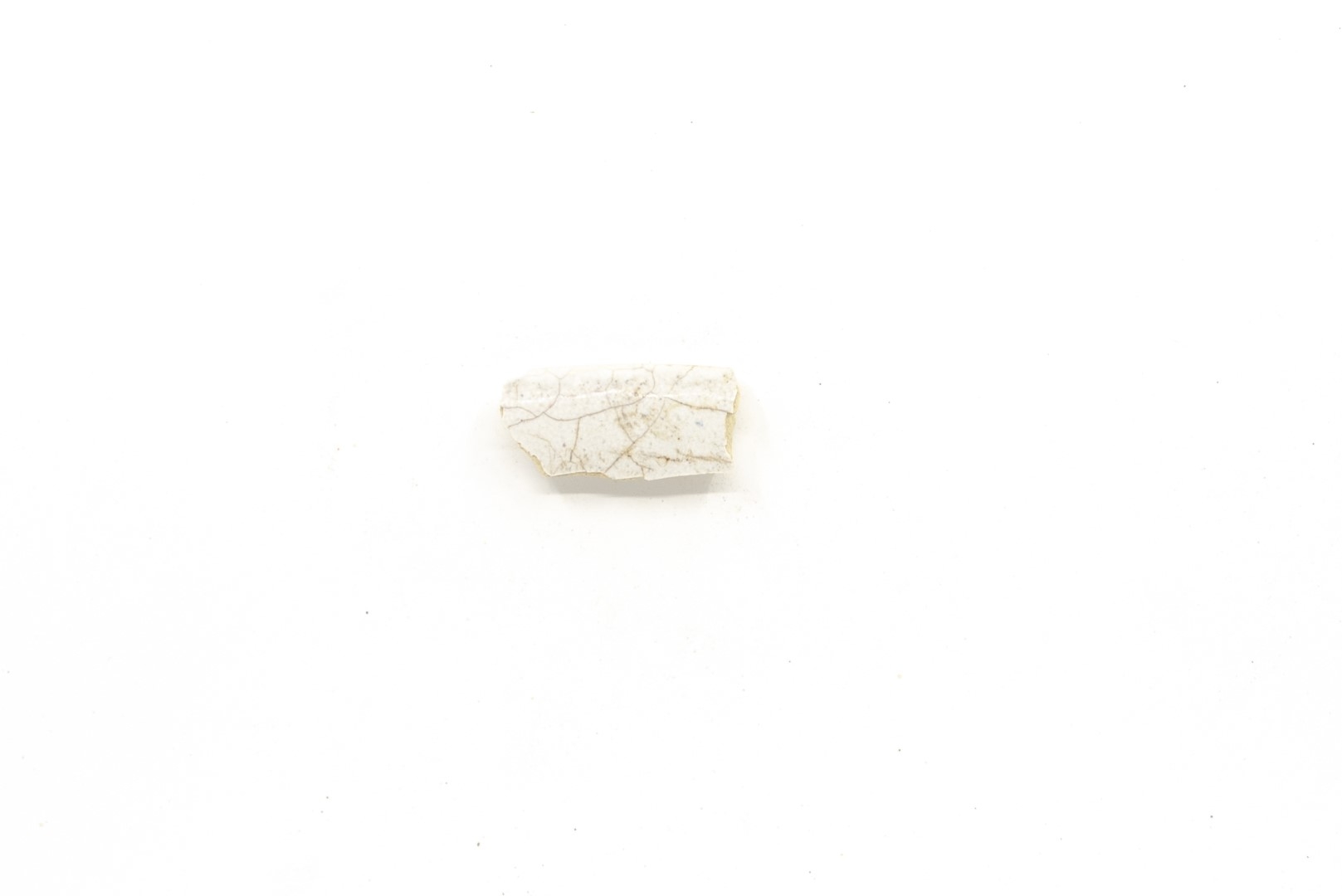 White-fired tin-glazed fragments,