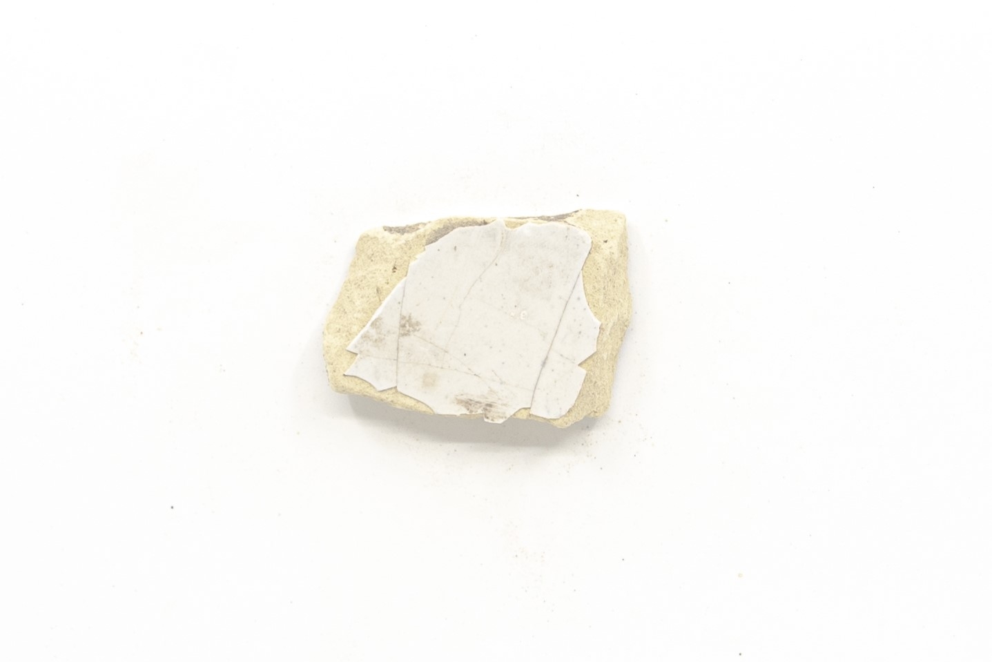 White-fired tin-glazed fragments,
