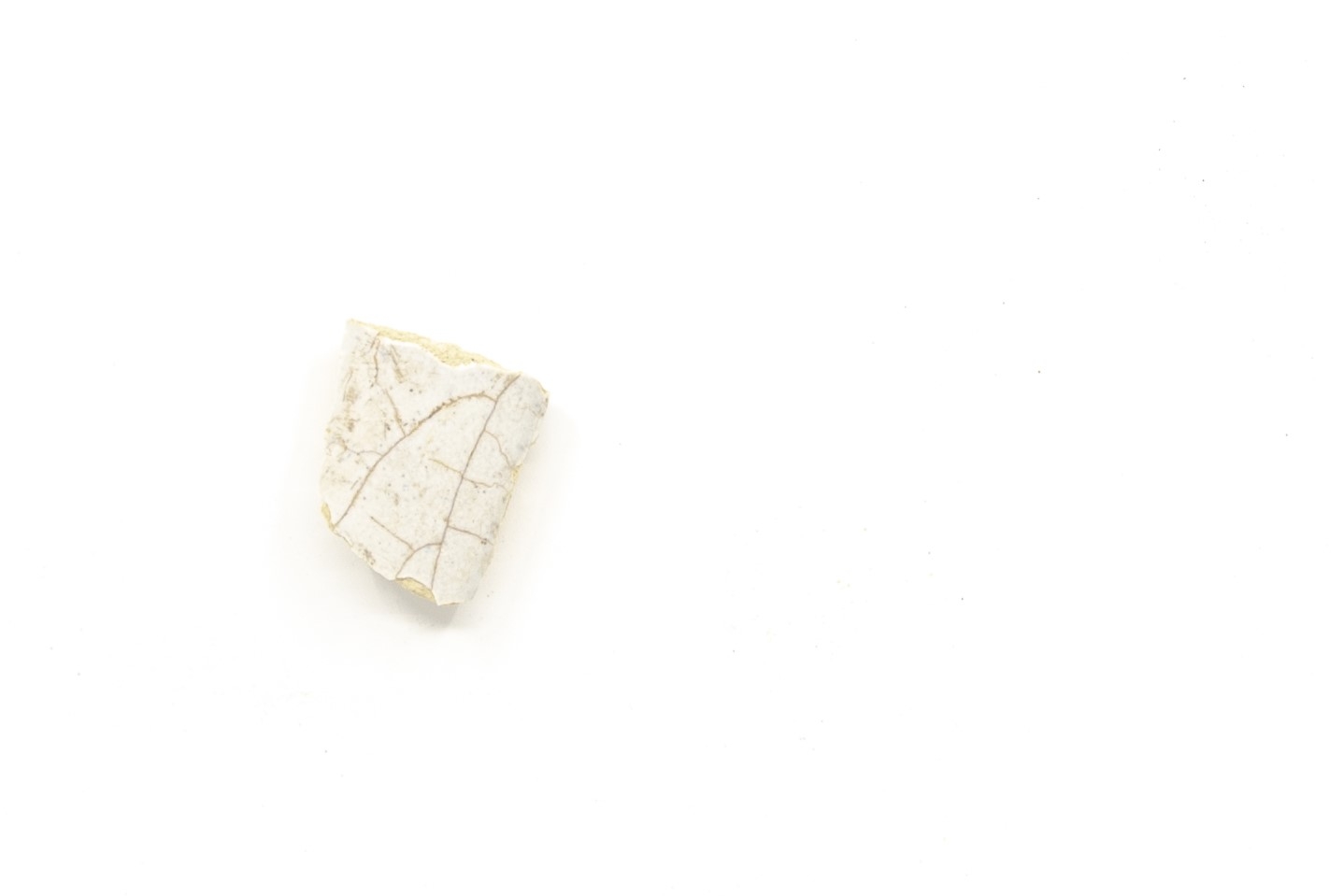 White-fired tin-glazed fragments,
