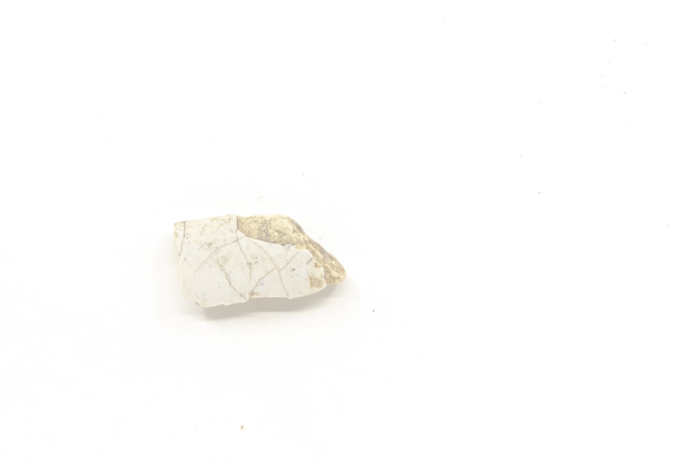 White-fired tin-glazed fragments,