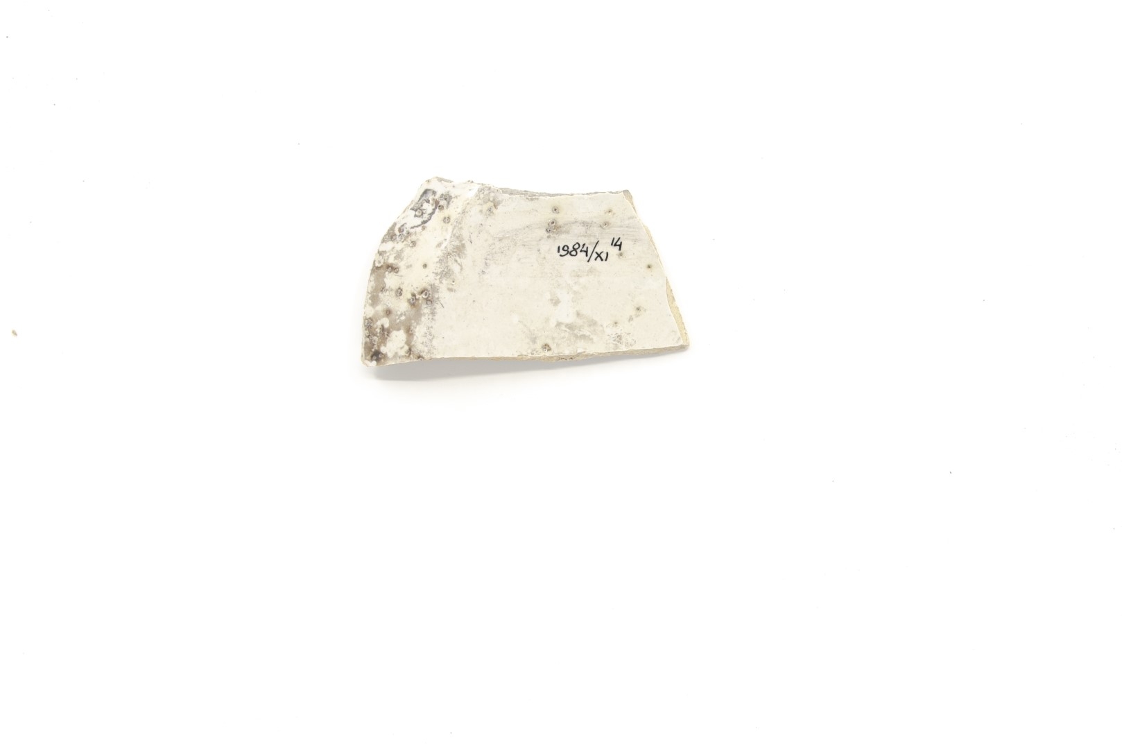 White-fired tin-glazed fragments,