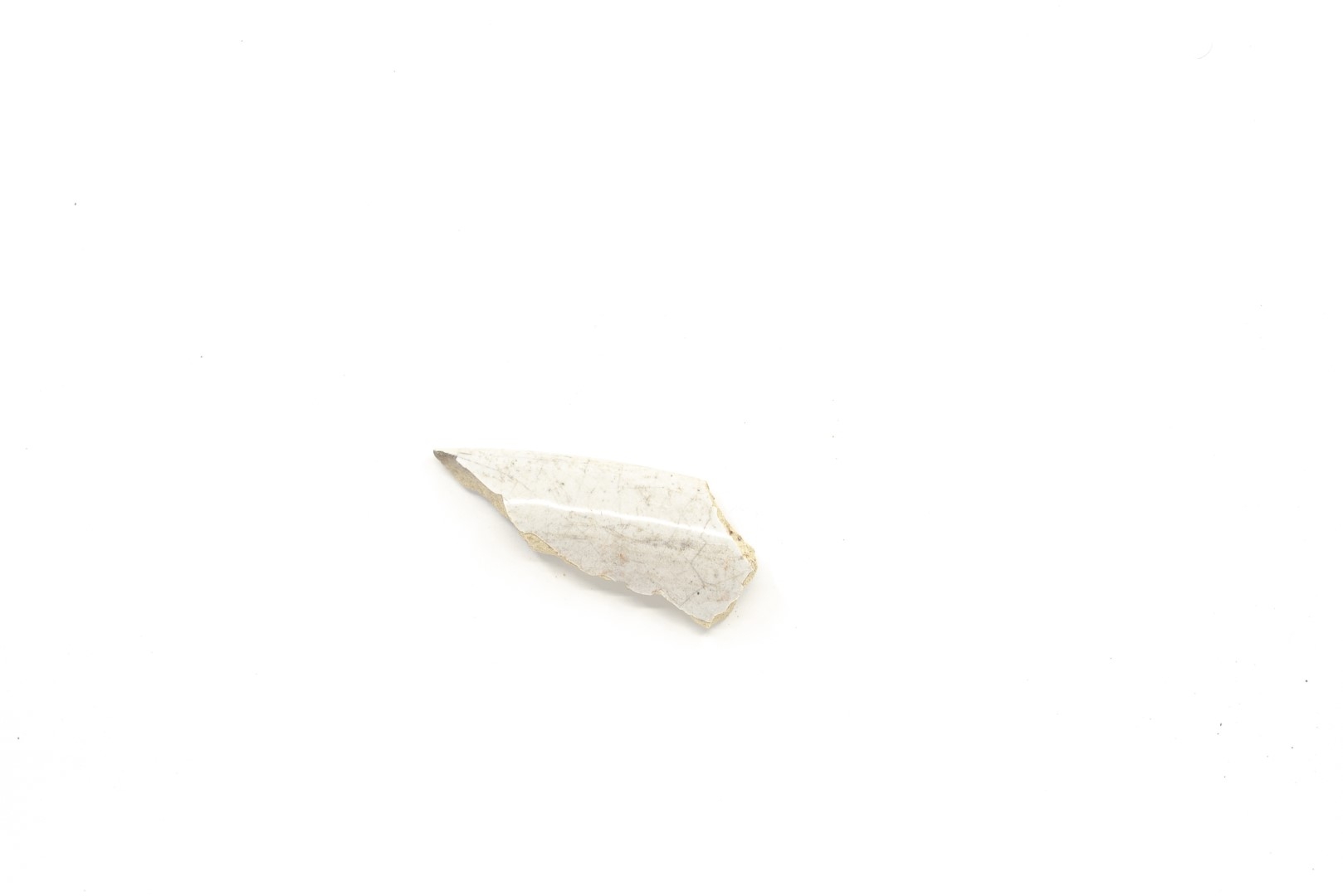 White-fired tin-glazed fragments,
