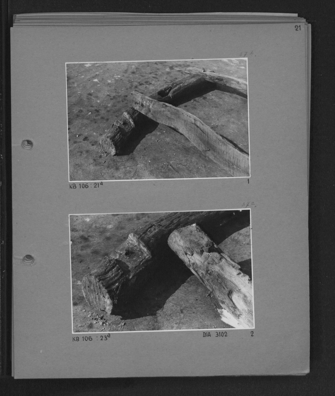 Bylma excavation photo book, 