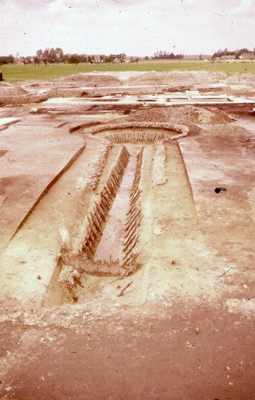 Photo's of Bylma - fishbun, 3112